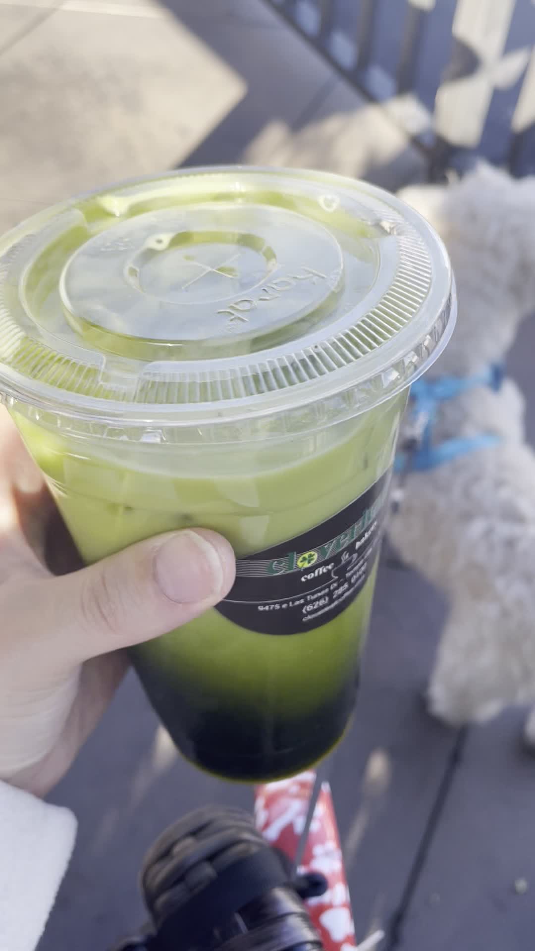 Video review of Cloverleaf Coffee & Bakery