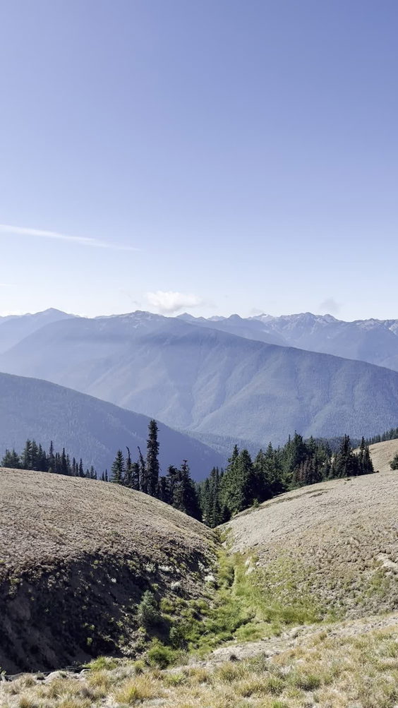 Olympic National Forest