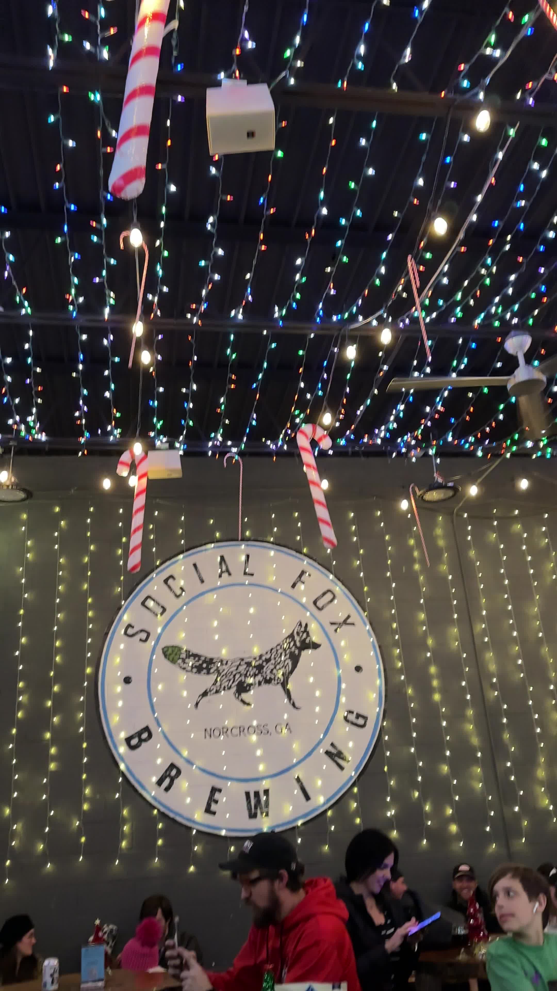 Video review of Social Fox Brewing