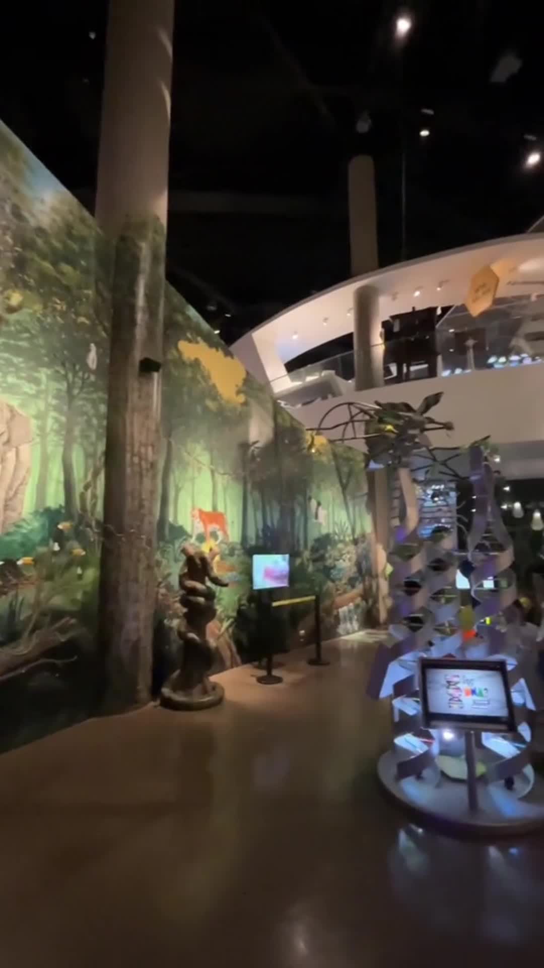 The Mind Museum
