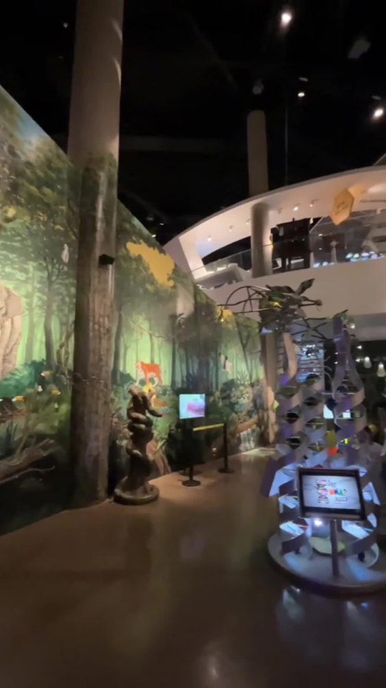 The Mind Museum