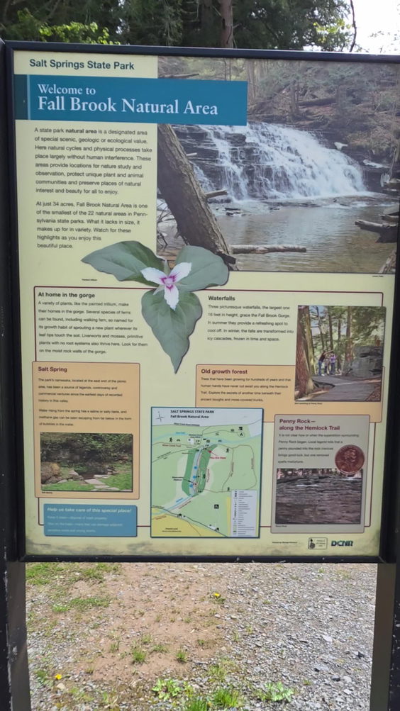 Salt Springs State Park