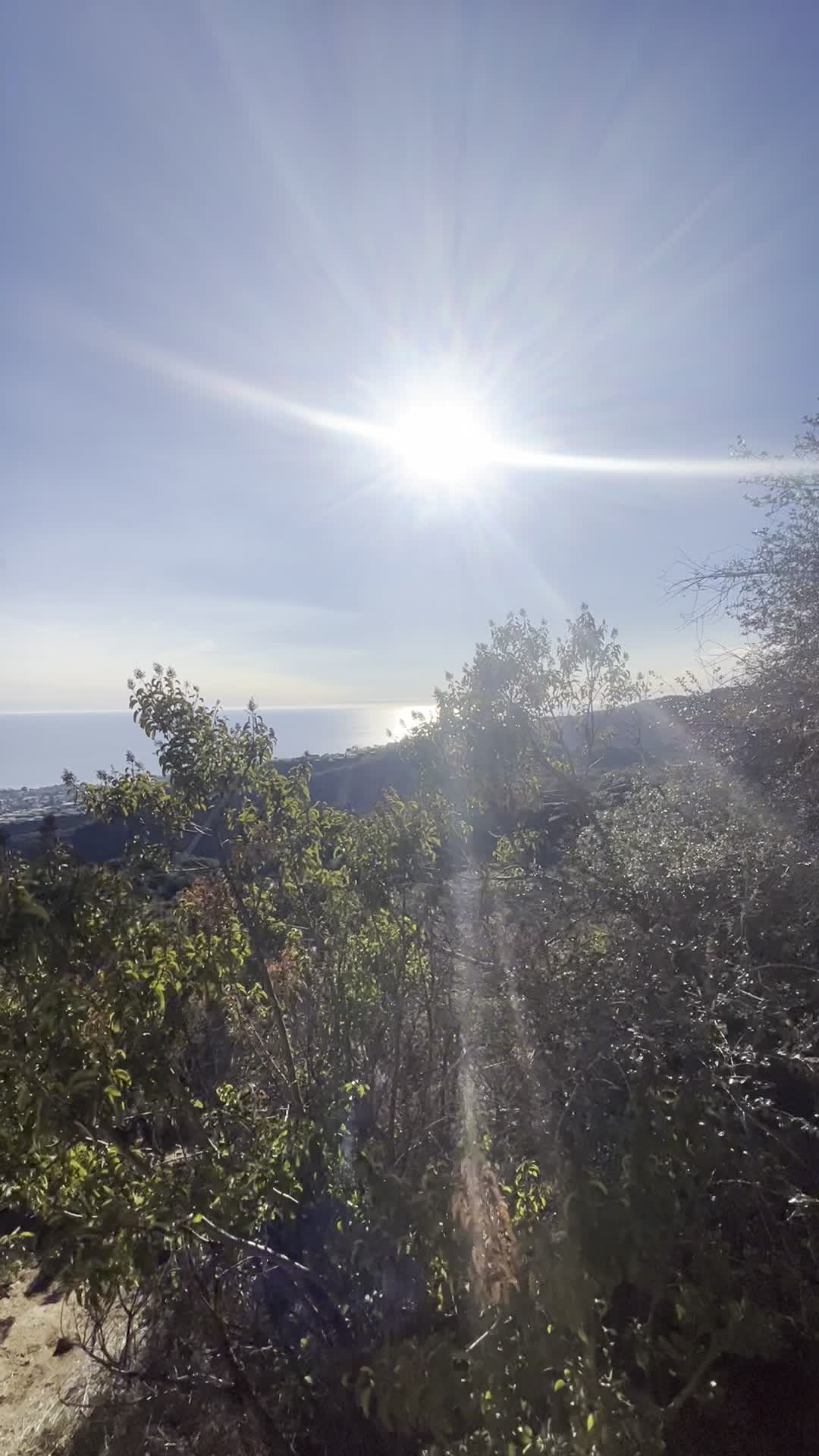 Video review of Temescal Ridge Trail