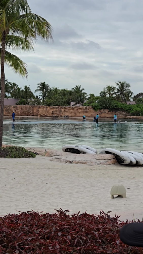 Atlantis Paradise Island