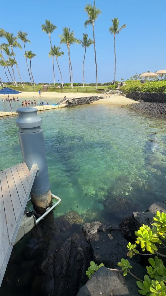 Lagoon Grill