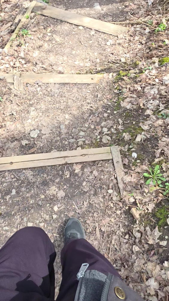 Three Falls Woods