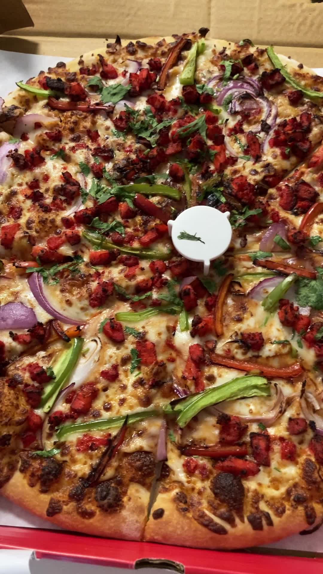 Momo & Pizza Ghar