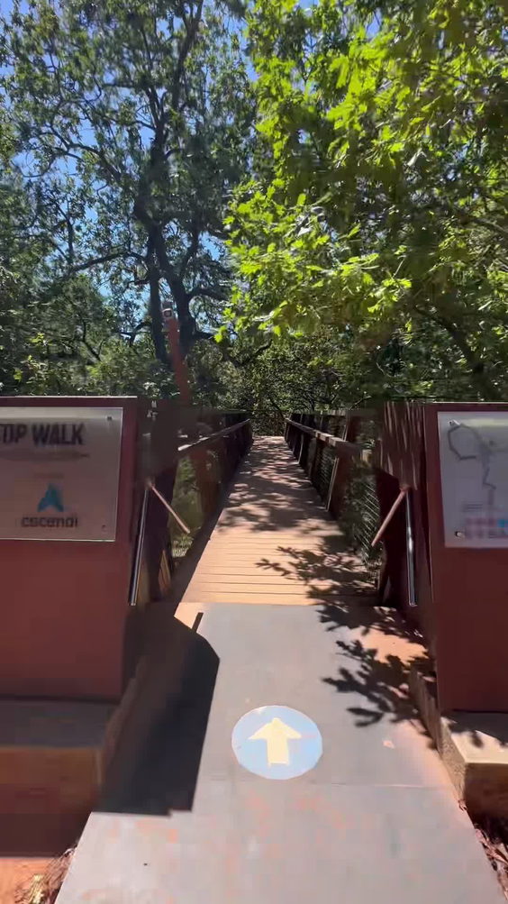 Parque de Serralves