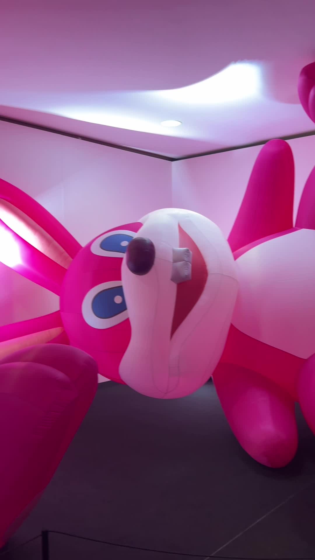 Pop Air Balloon Museum