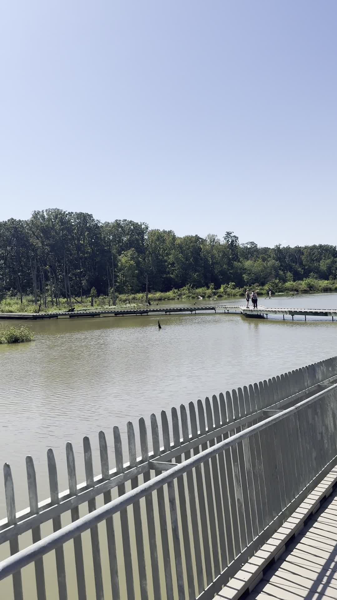 Herron Trail - Huntley Meadows Park