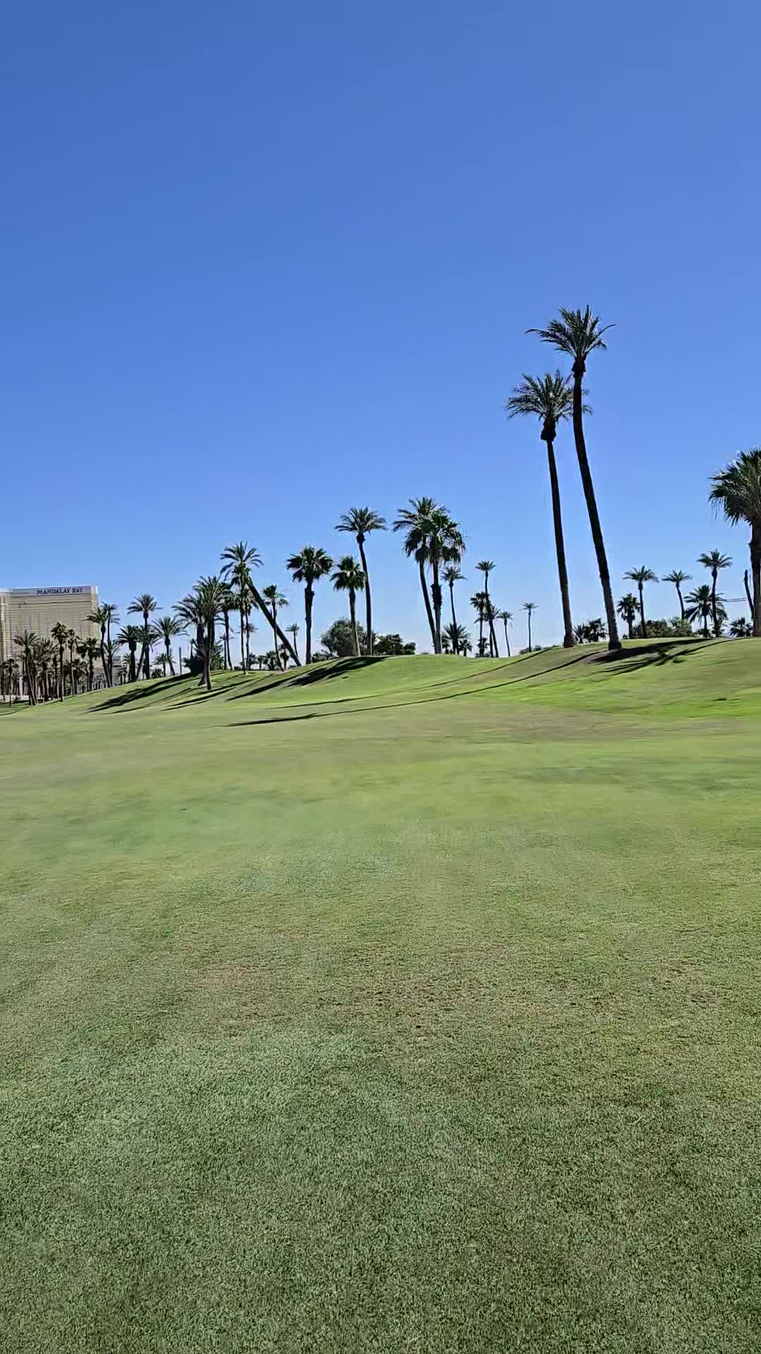 Bali Hai Golf Club