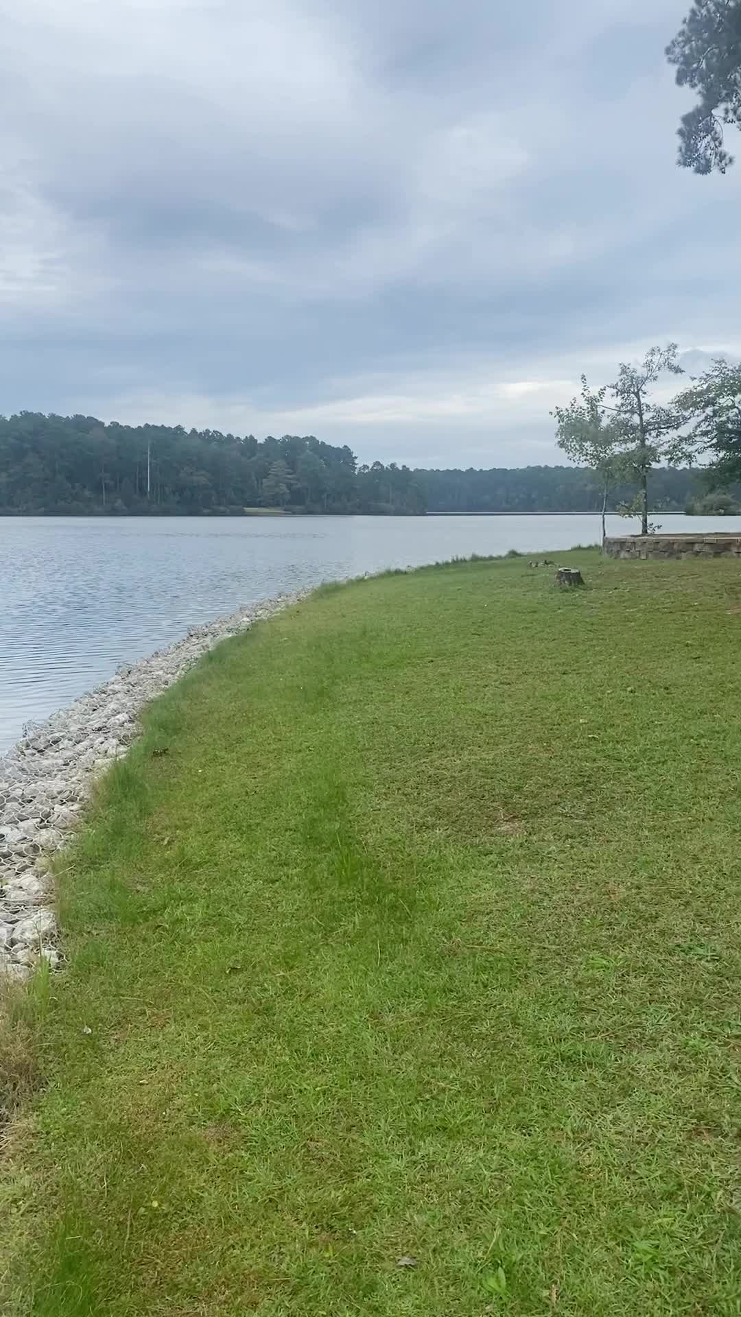 Bonita Lakes Park Playground