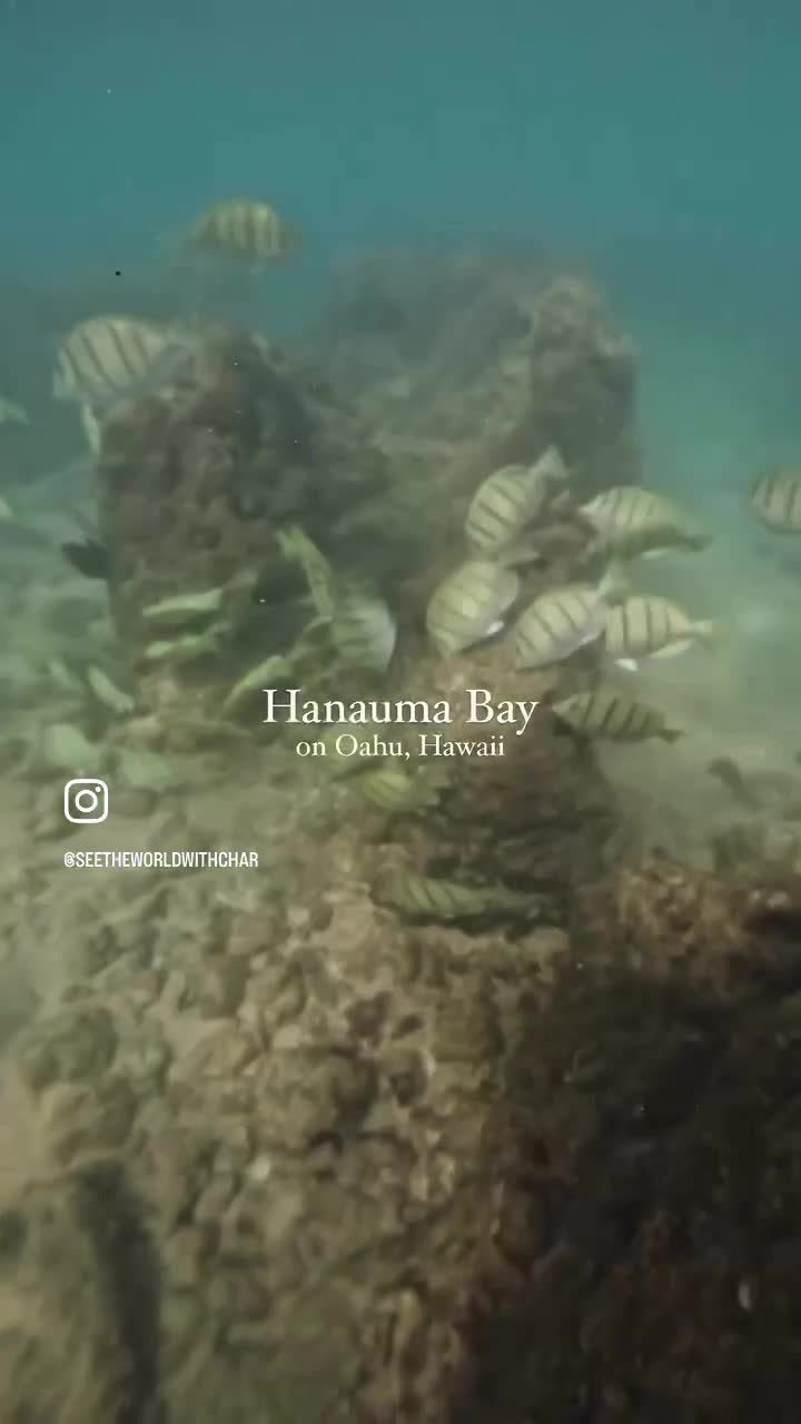 Hanauma Bay Nature Preserve