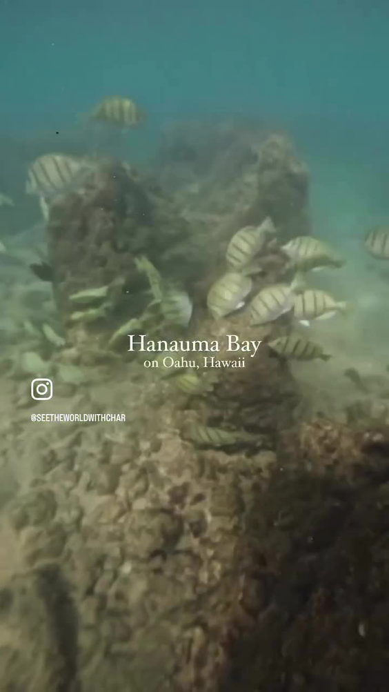 Hanauma Bay Nature Preserve