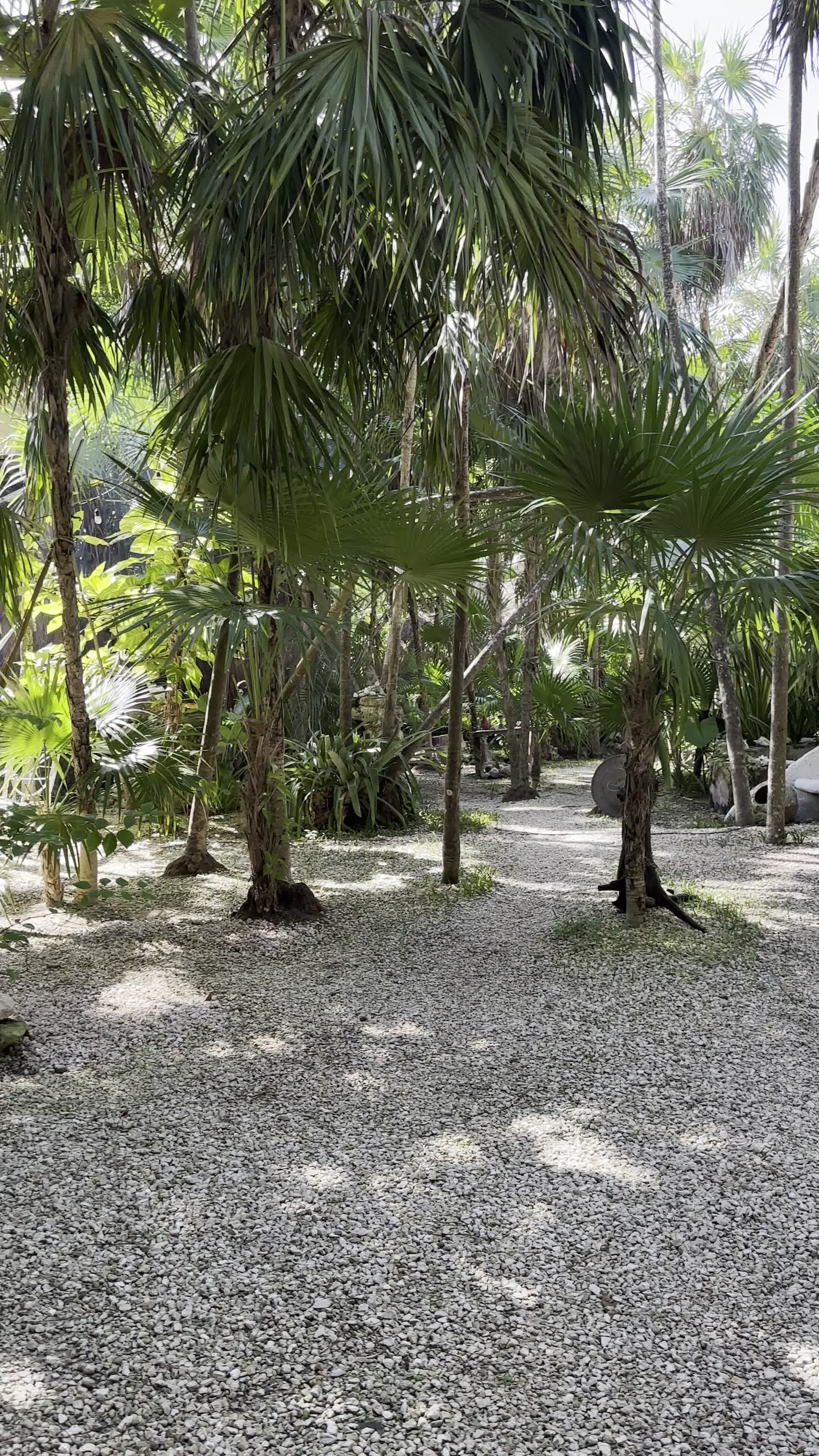 OKO SPA TULUM. Mayan Healing Portal