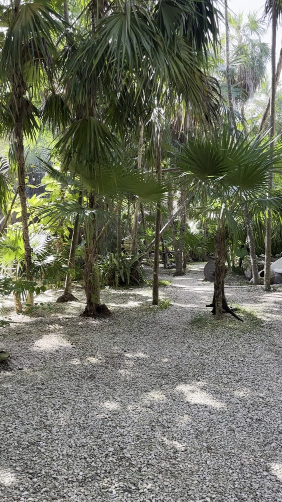OKO SPA TULUM. Mayan Healing Portal