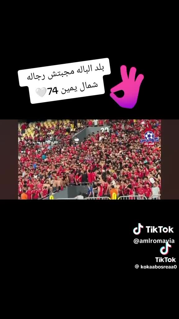 استاذ برج العرب