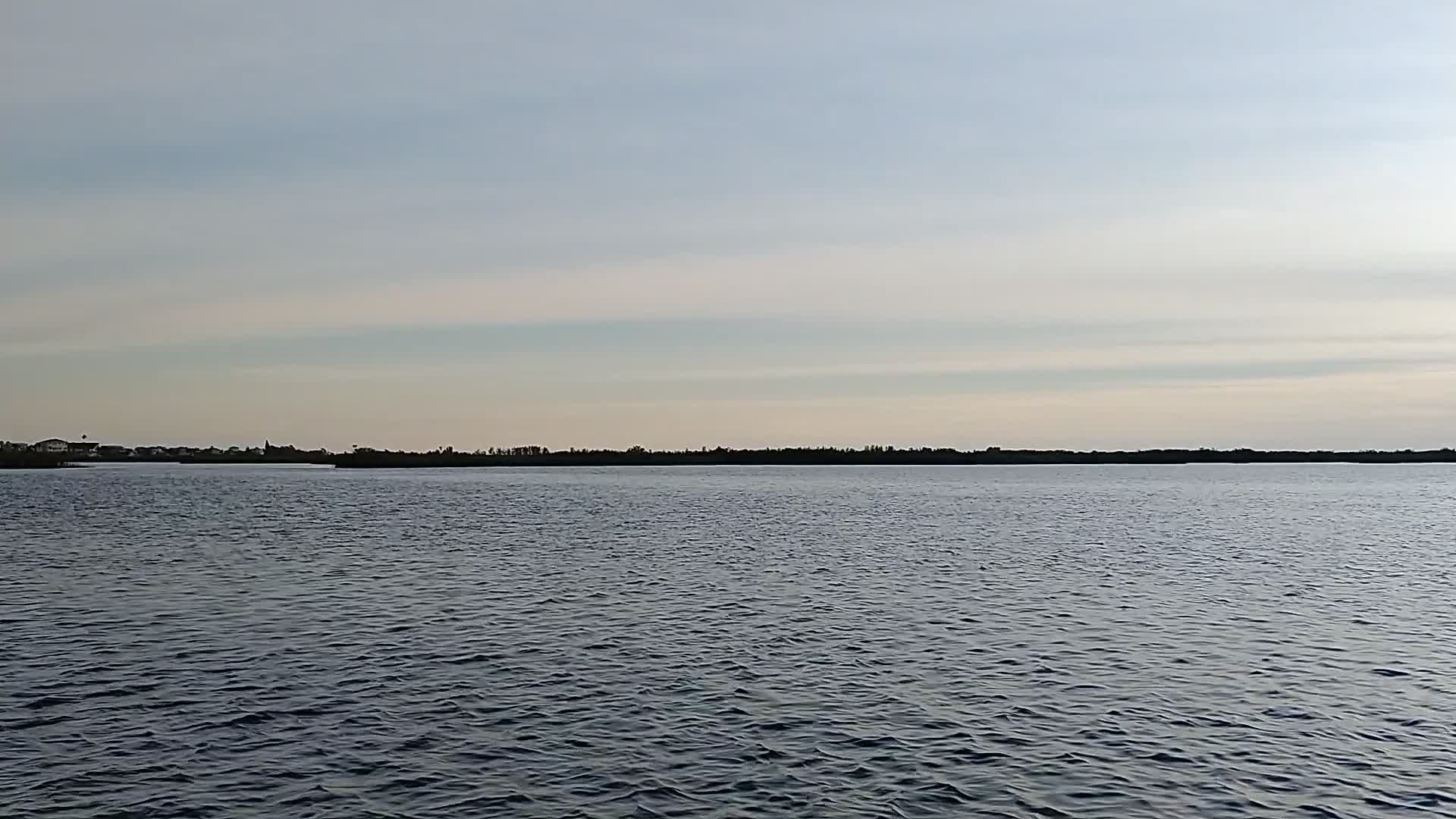 Bayport Airboat Tours