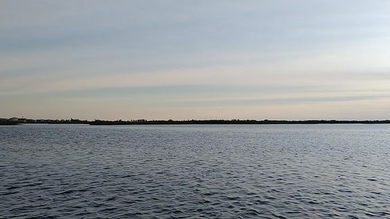 Bayport Airboat Tours