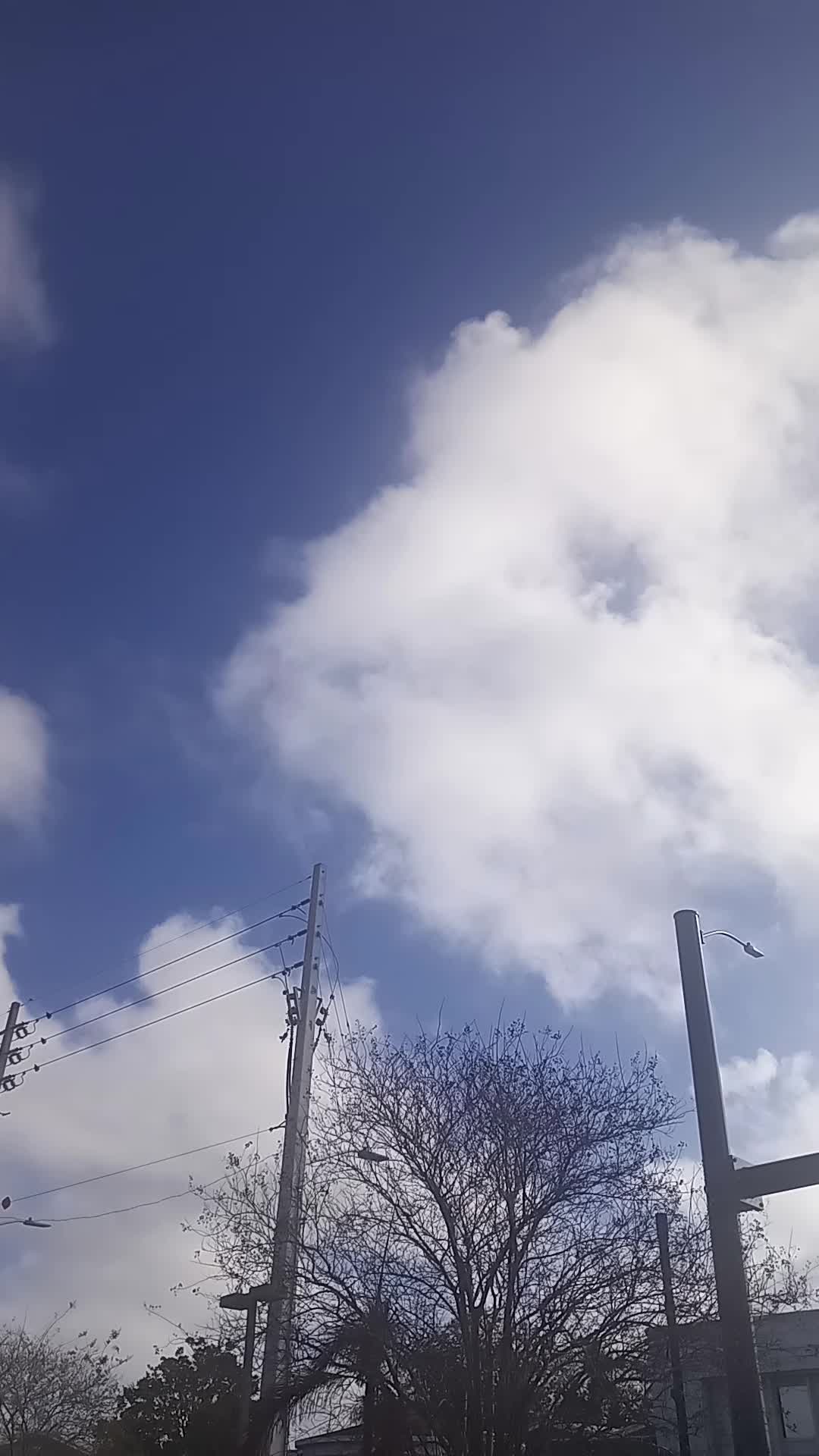 Orlando Vineland Premium Outlets