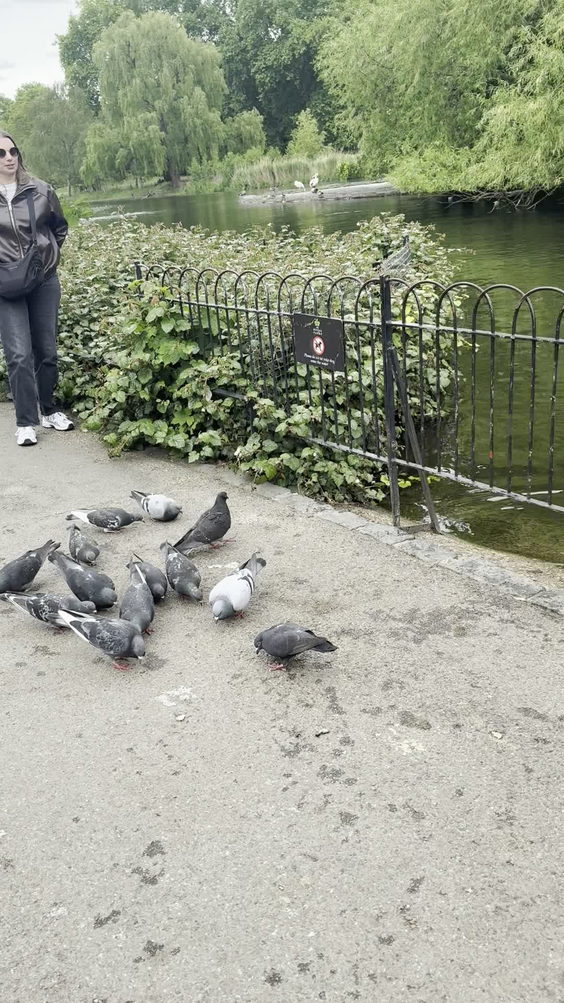 St James Park