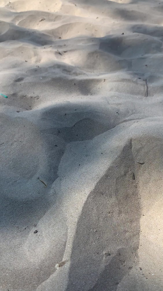 Sandbanks beach