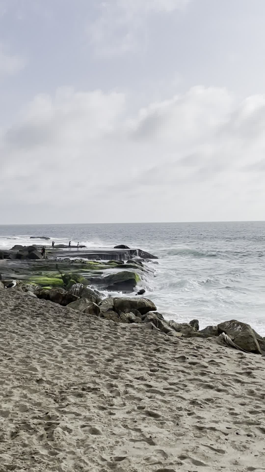 Video review of Aliso Beach