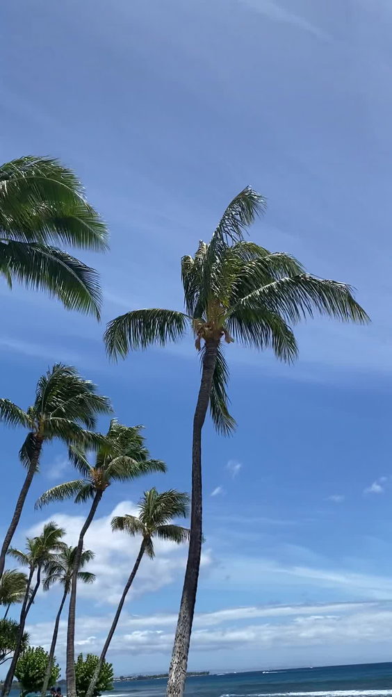 The Westin Ka'anapali Ocean Resort Villas