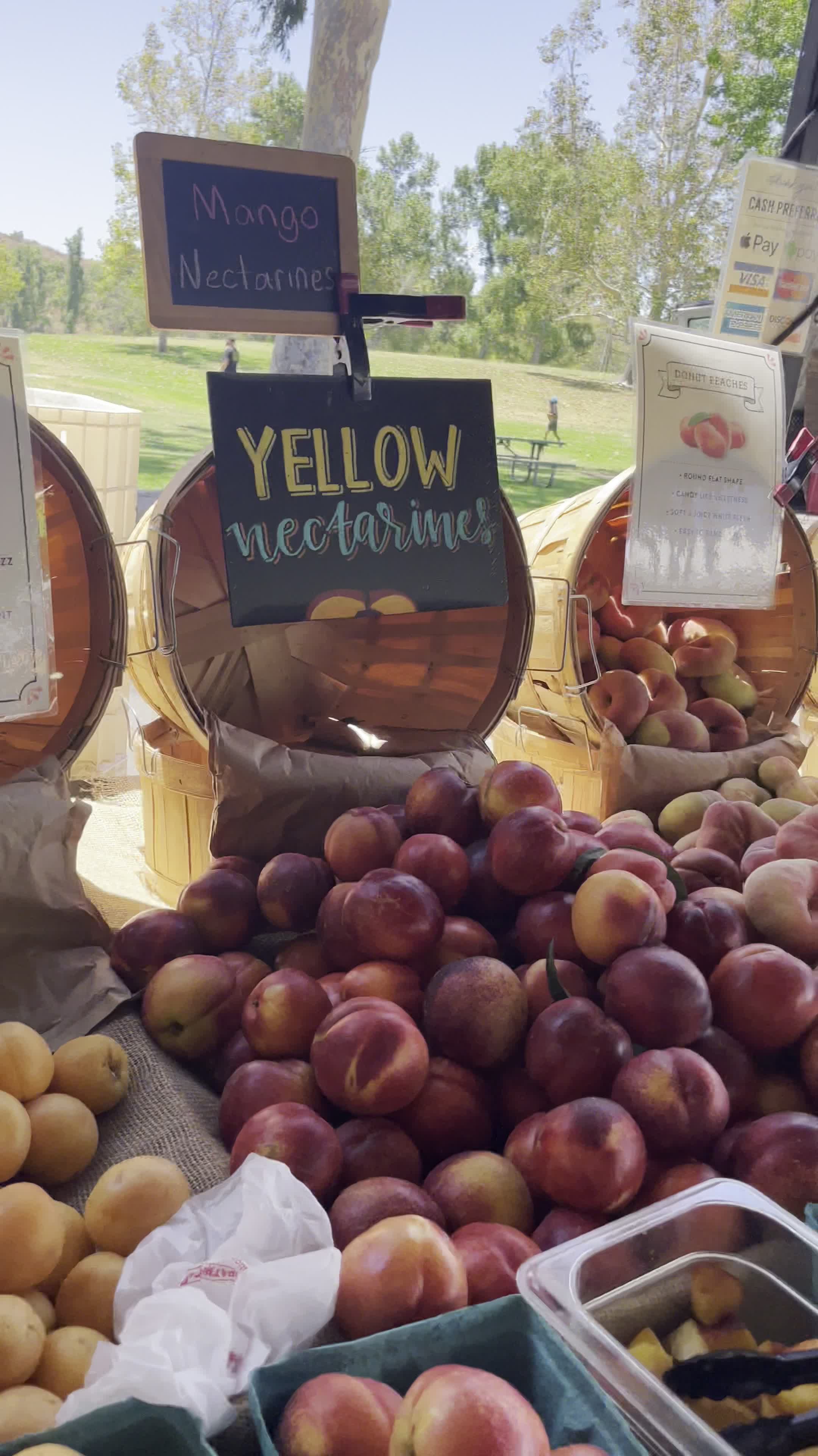 Video review of Irvine Regional Park