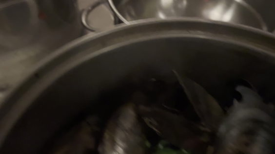 Flex Mussels