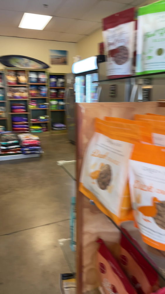 salty paws healthy pet market