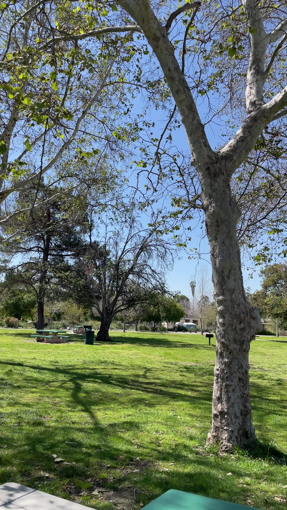 Peck Road Water Conservation Park