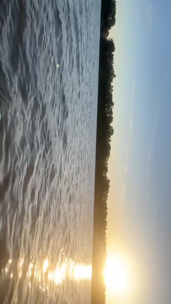 Vancouver lake park