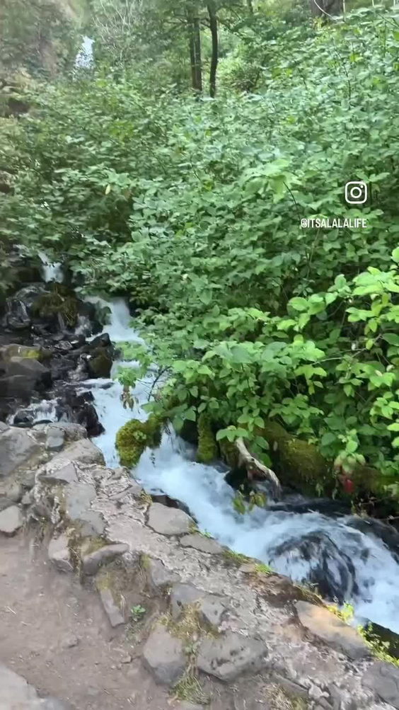 E bike multnomah falls