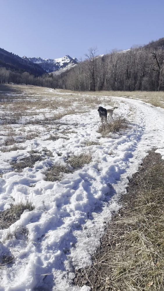 Provo Canyon