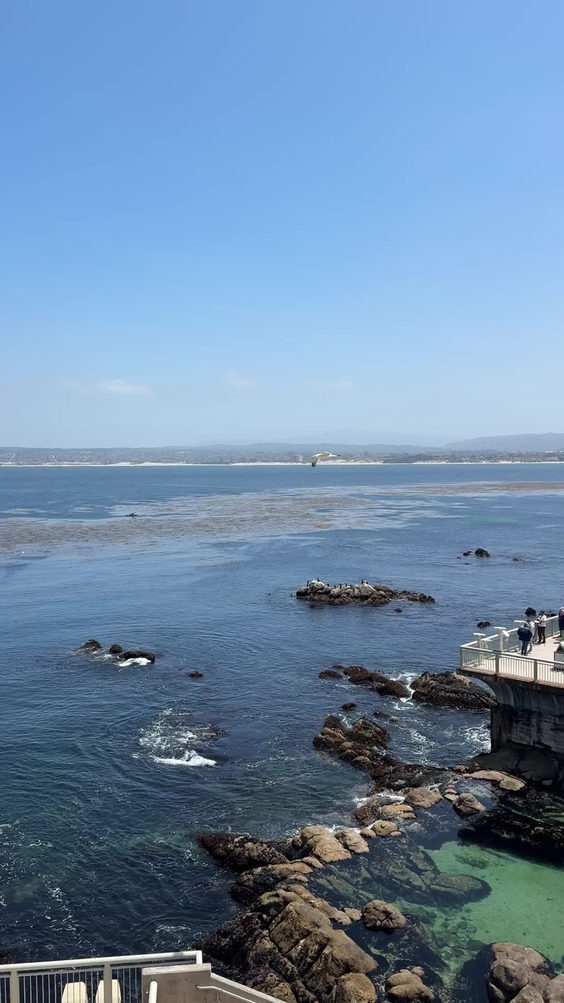 Monterey Bay Aquarium