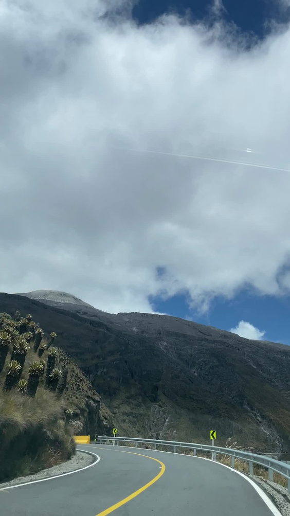 Parque Natural Los Nevados