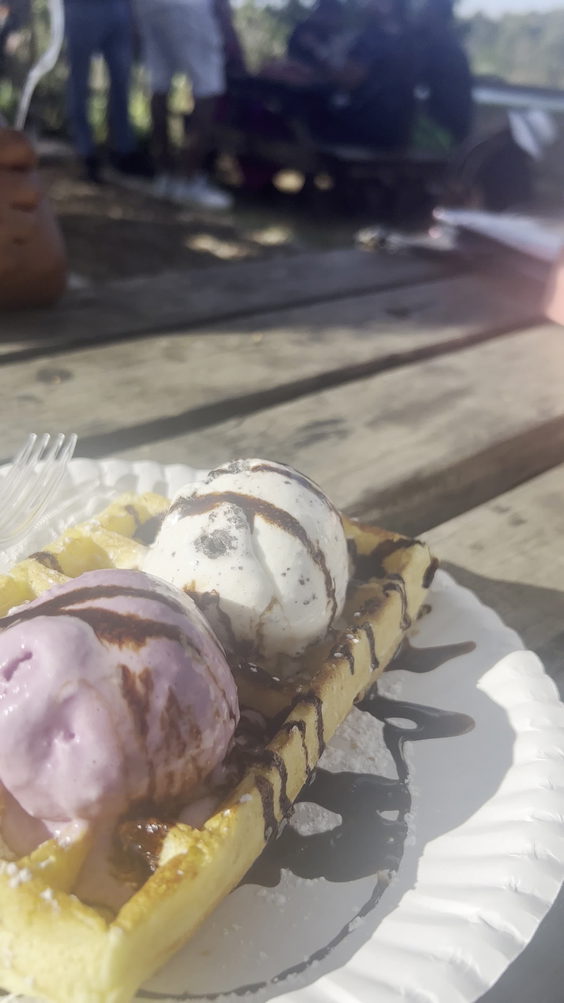 Fourways Farmers Market