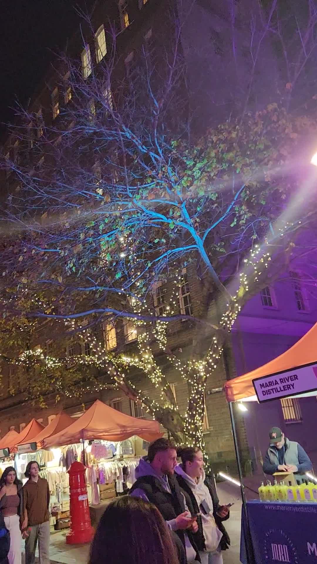 Vivid Sydney