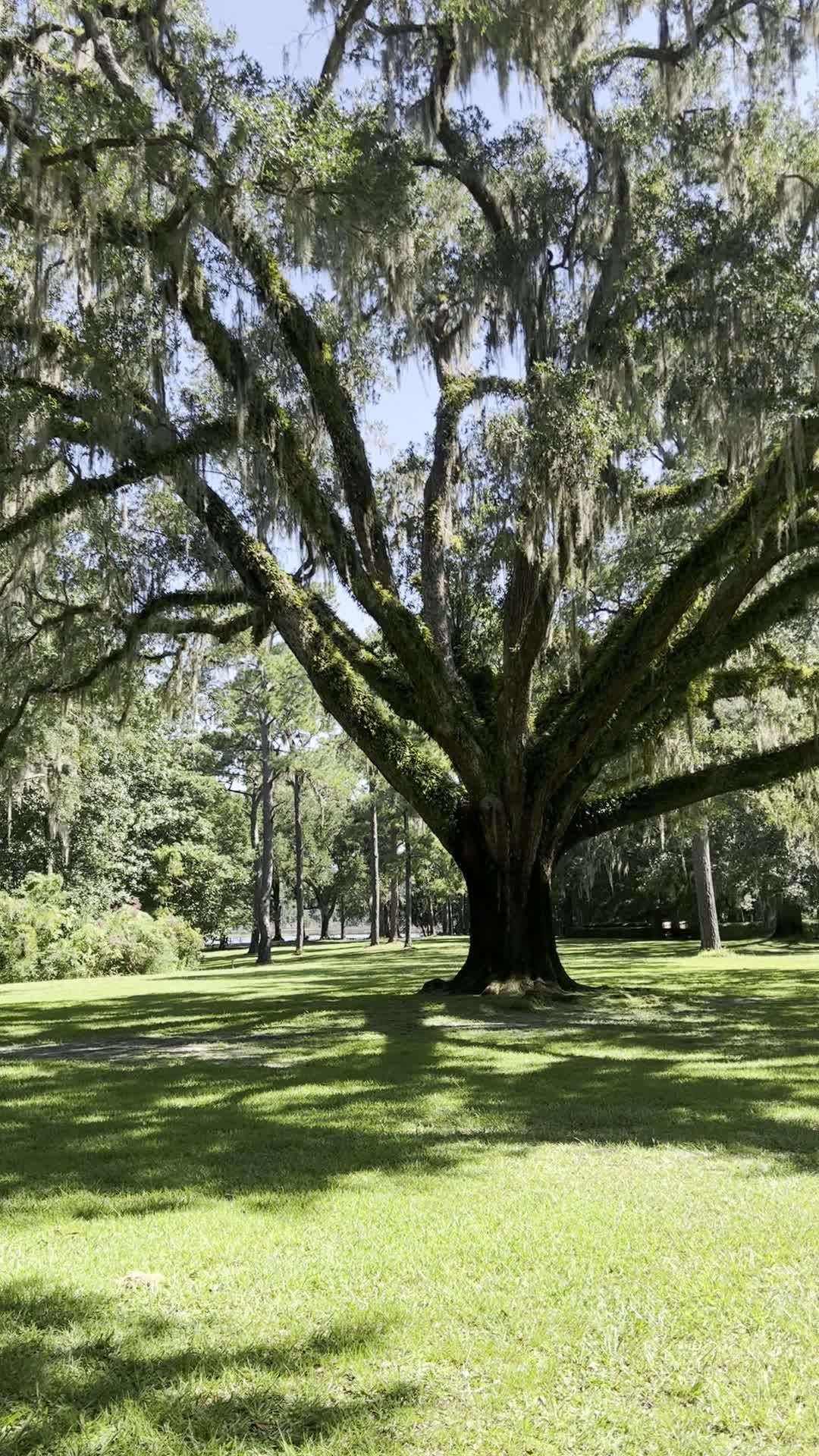Eden Gardens State Park