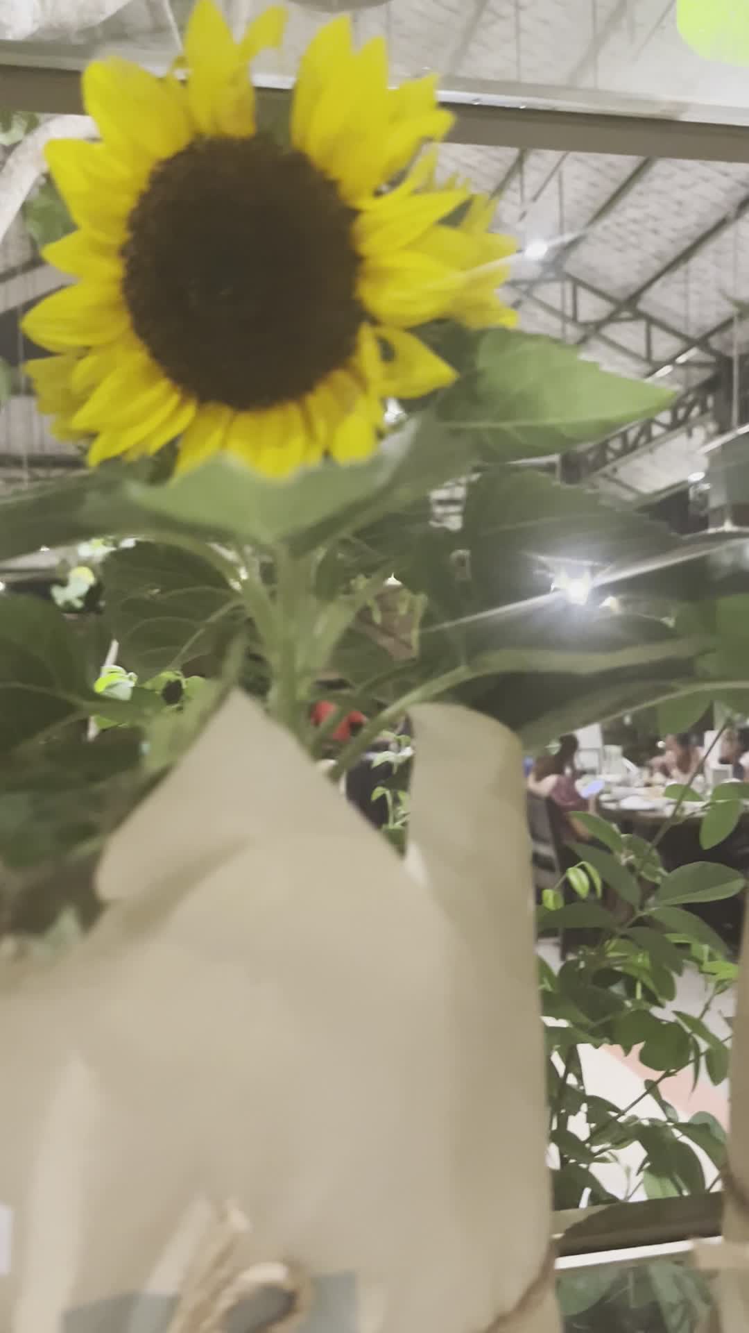 Farmer’s Table