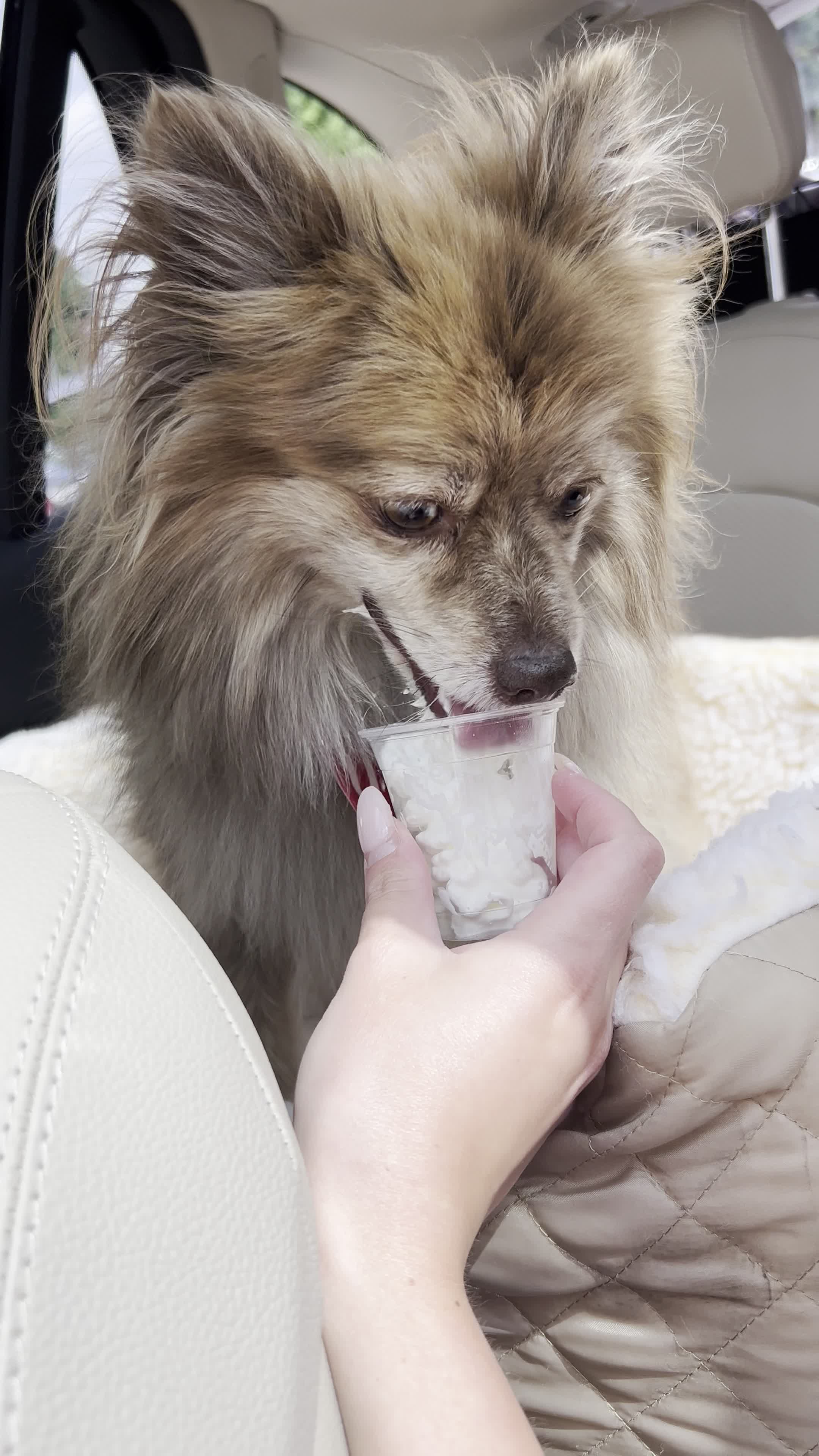 Video review of Starbucks