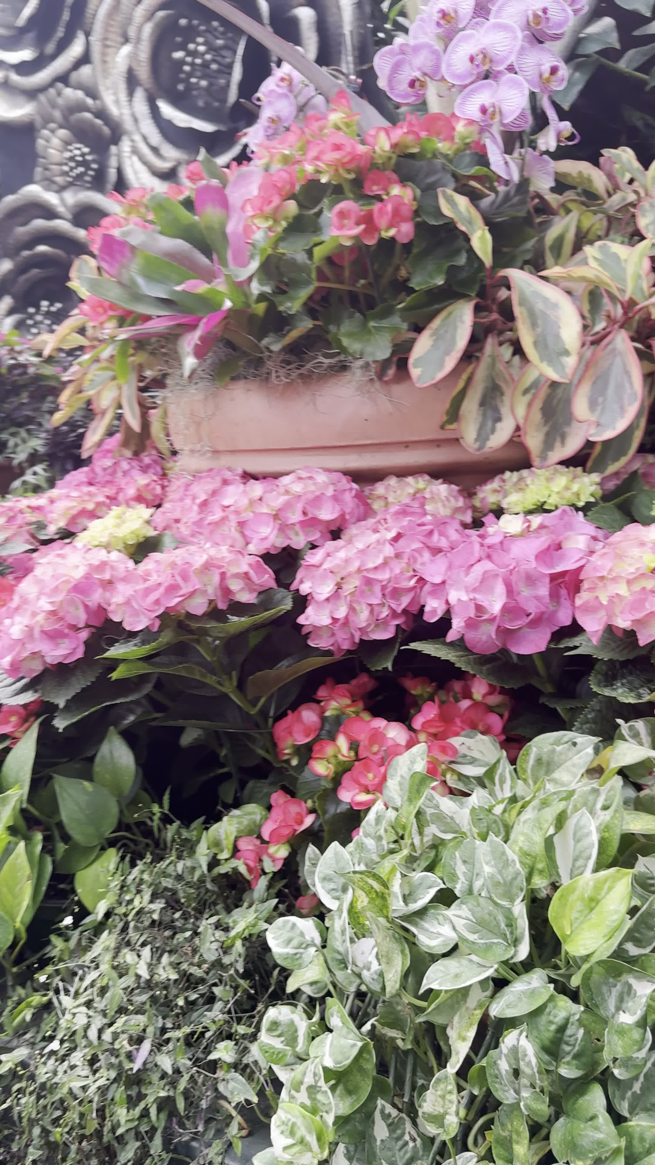 Video review of The Biltmore Estate