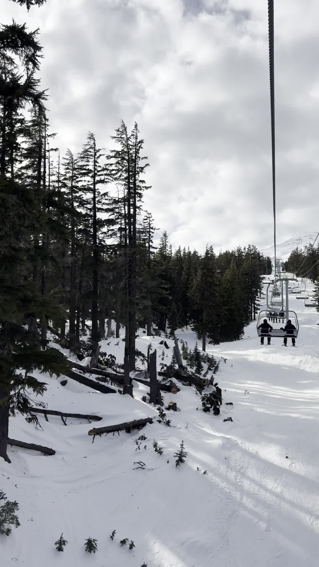 Mt bachelor
