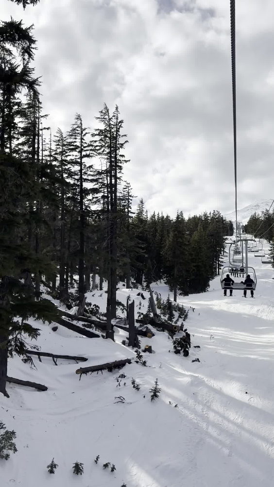 Mt bachelor