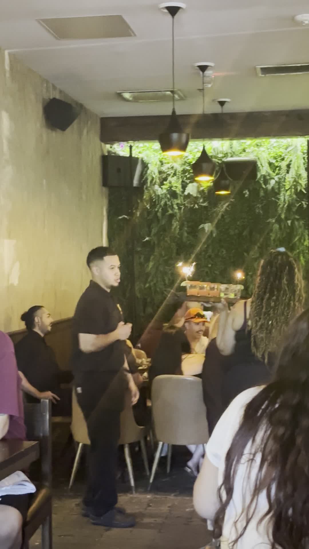 Video review of Vidorra