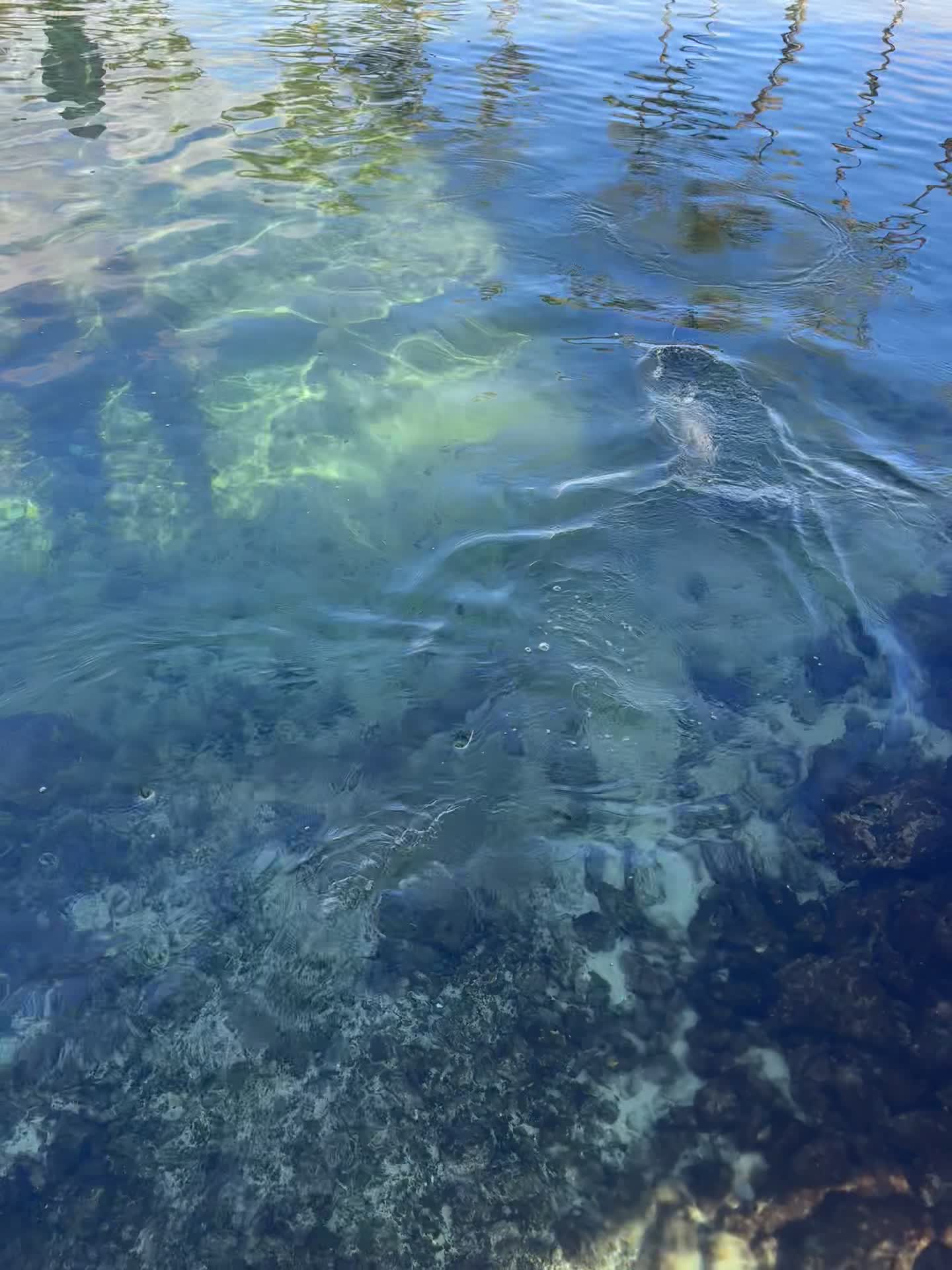 Video review of Hilton Waikoloa Village