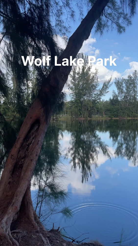 Wolf Lake Park