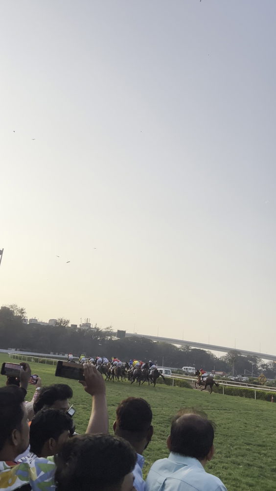 Gallops