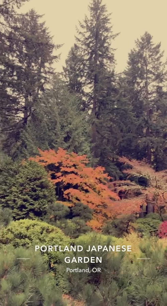 Portland Japanese Garden